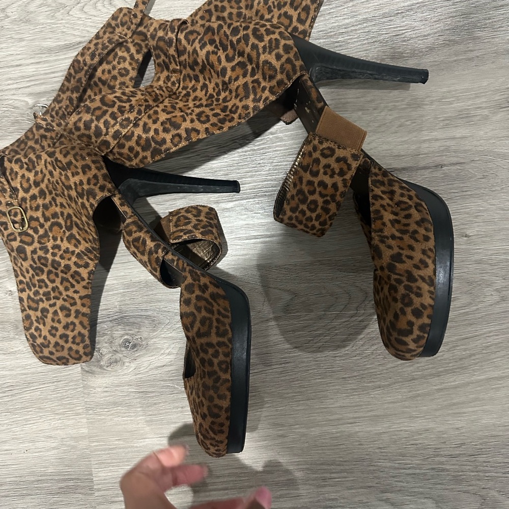 Leopard platform - Picture 3 of 5